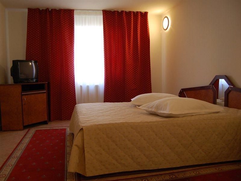 Euro Hotel Timişoara Rum bild